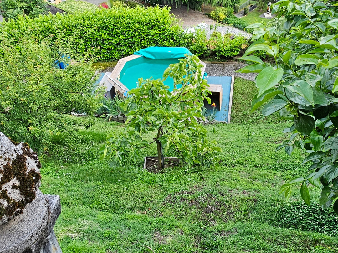 Il Giardino Botanico Bed and Breakfast主图