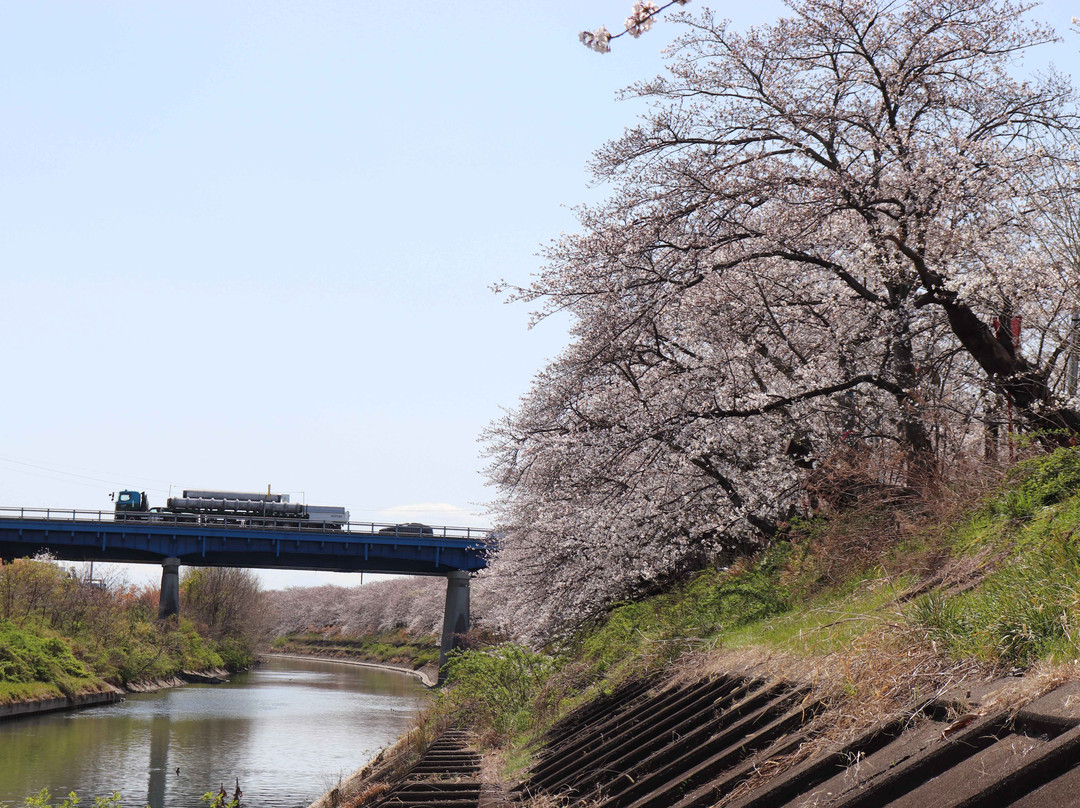 Sunomata Castle-大垣市必去景点