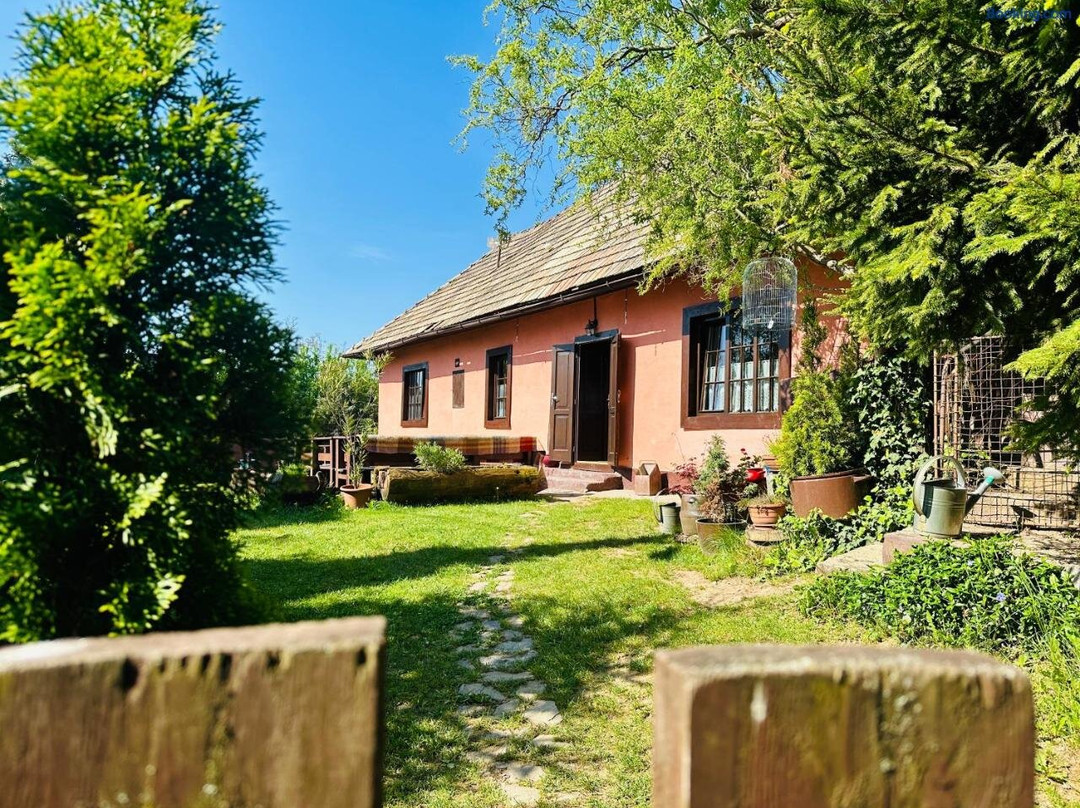 Pink cottage-100yo mining house