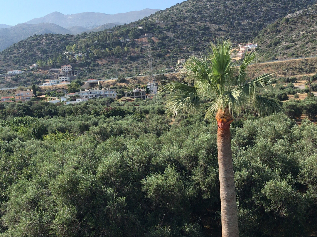 Stelios Apartments主图