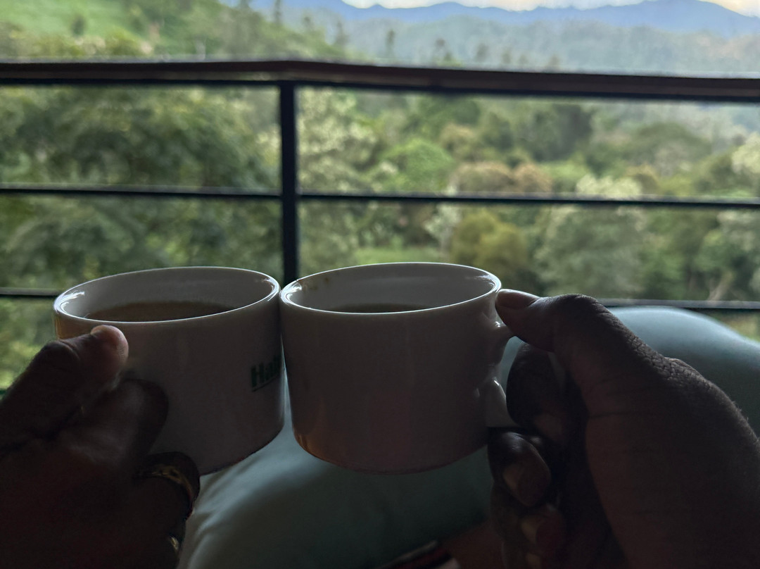 98英亩度假村主图