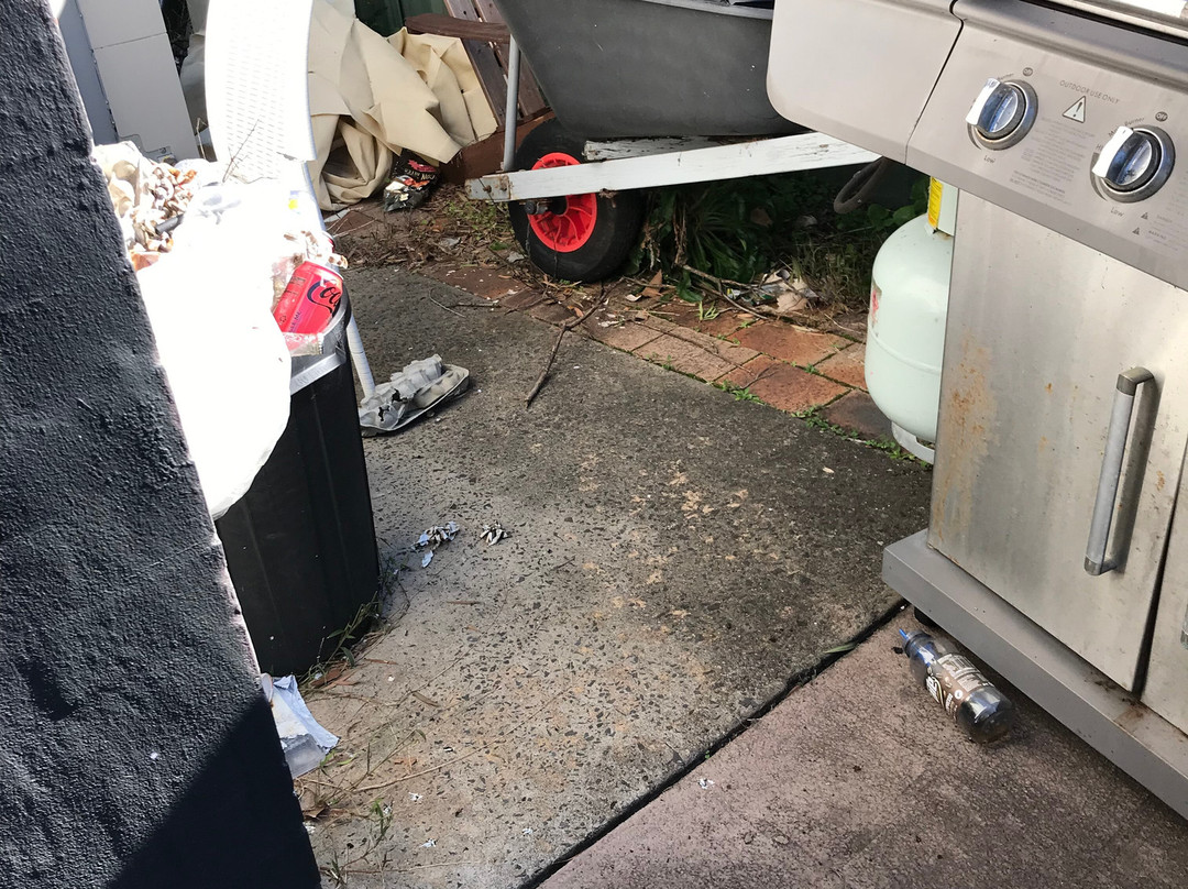 Parkhaven Resort主图