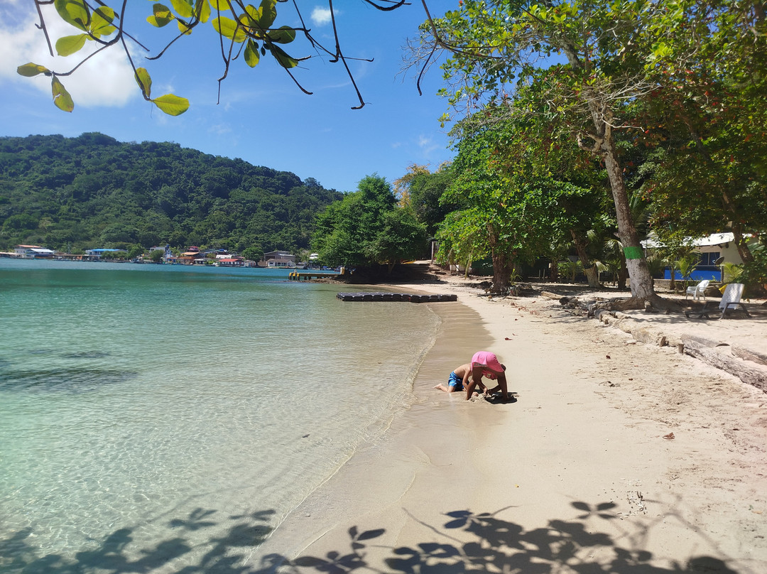 Posada del Gecko主图