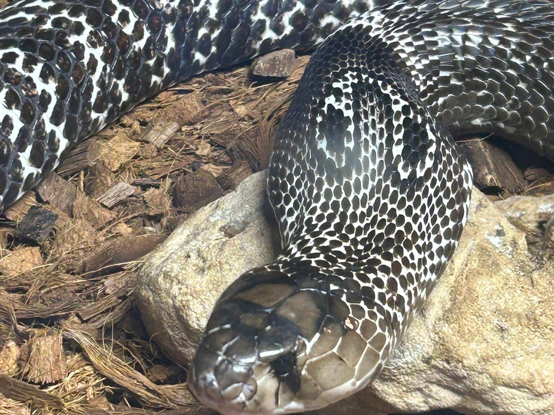 Minsk Zoo-明斯克必去景点