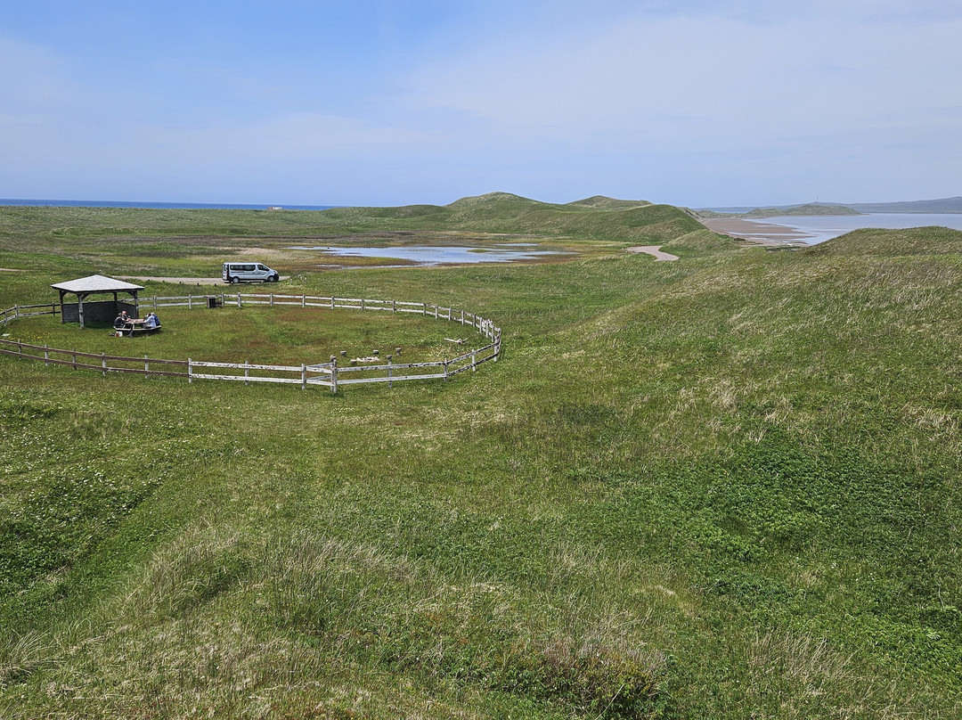 Escapade Insulaire-圣皮埃尔和密克隆必去景点