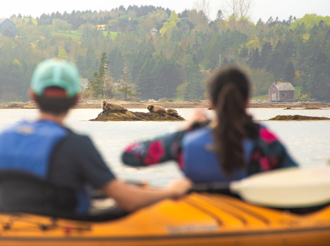 Cape LaHave Adventures-LaHave必去景点
