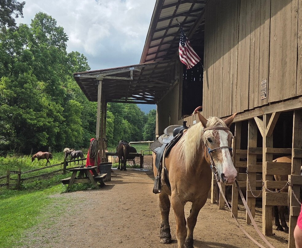 Davy Crockett Riding Stables-汤森必去景点