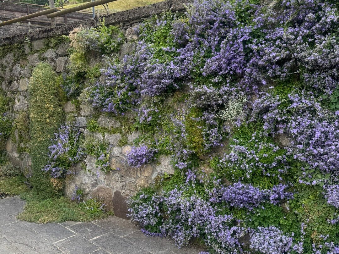 Villa Genziana主图