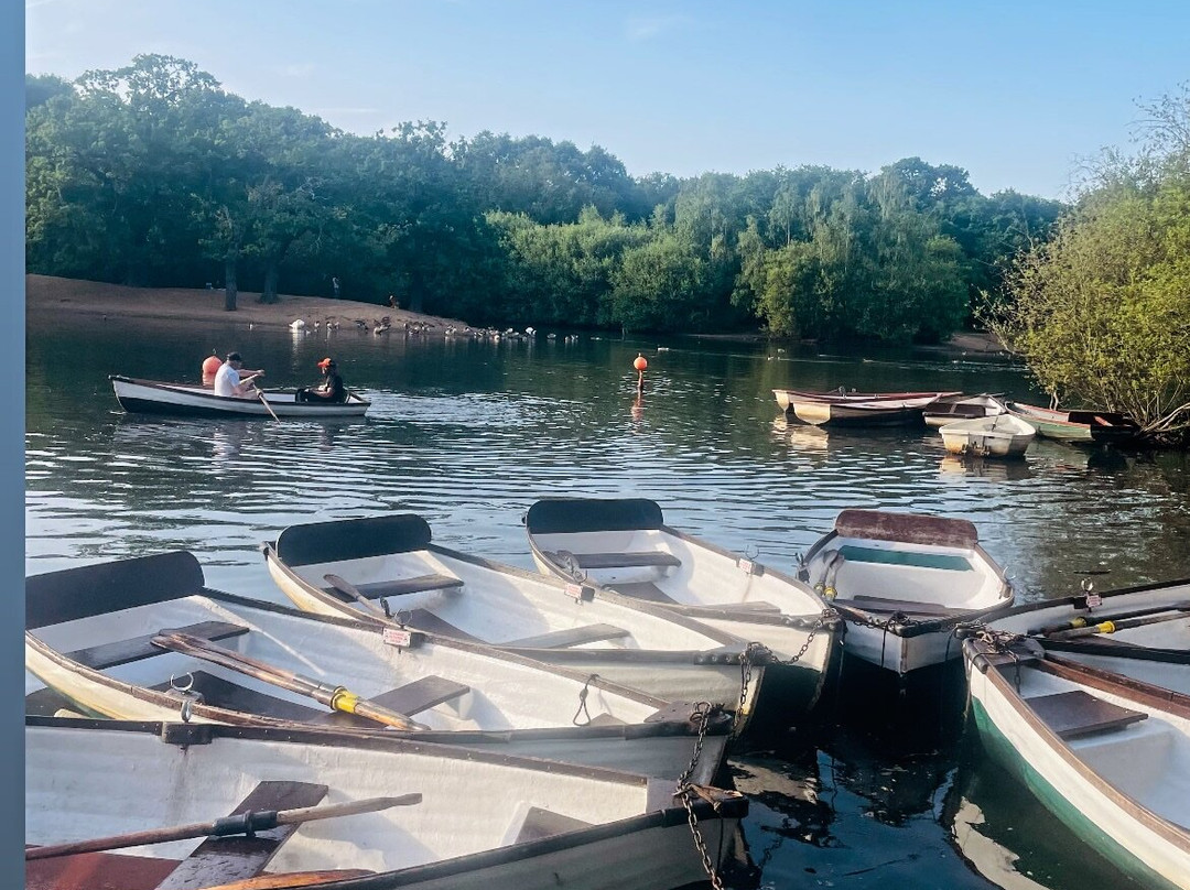 Hollow Ponds Rowing Boat Hire-伦敦必去景点