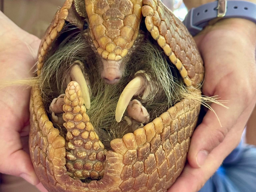 North Georgia Wildlife Park-Cleveland必去景点