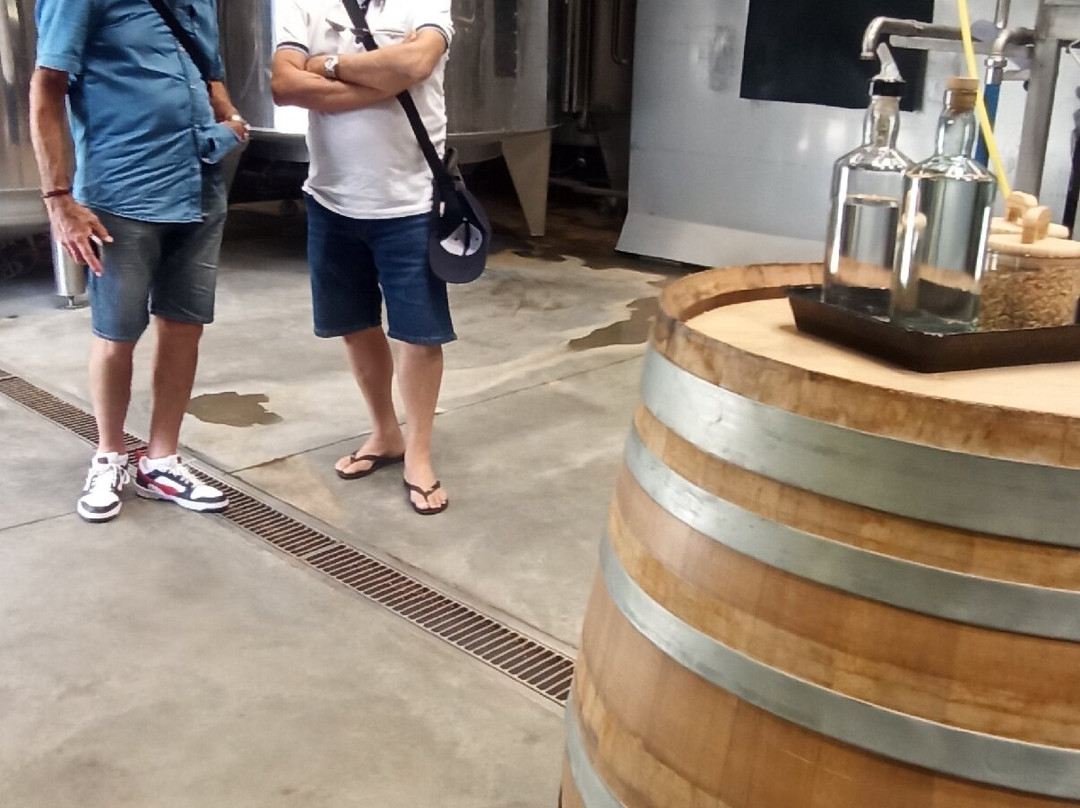 Distillerie Warenghem-拉尼翁必去景点