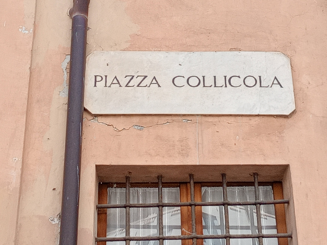 Palazzo Collicola Arti Visive-斯波莱托必去景点