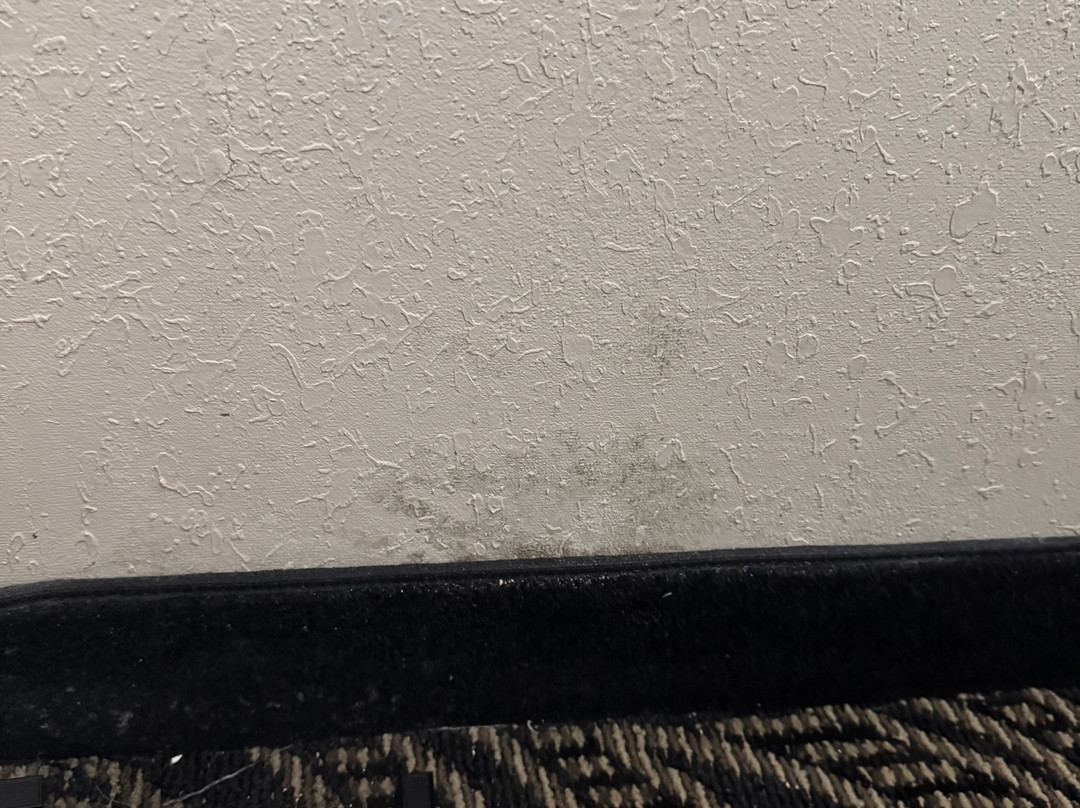 布拉多贝斯特韦斯特酒店主图