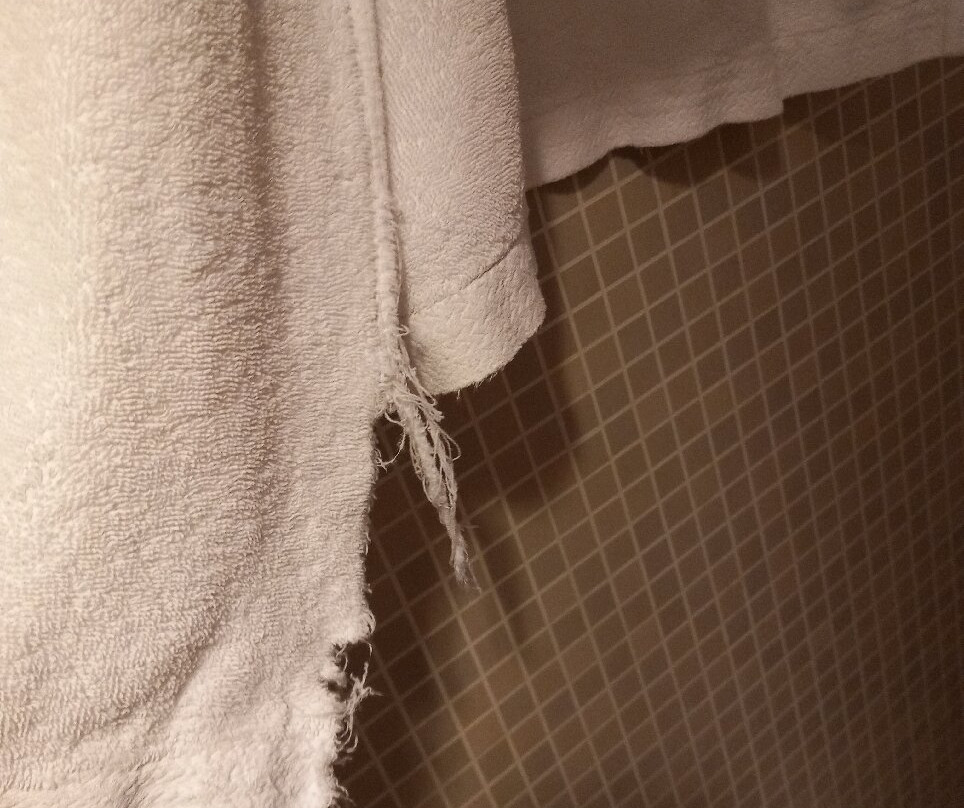Parkhotel Wallberg主图