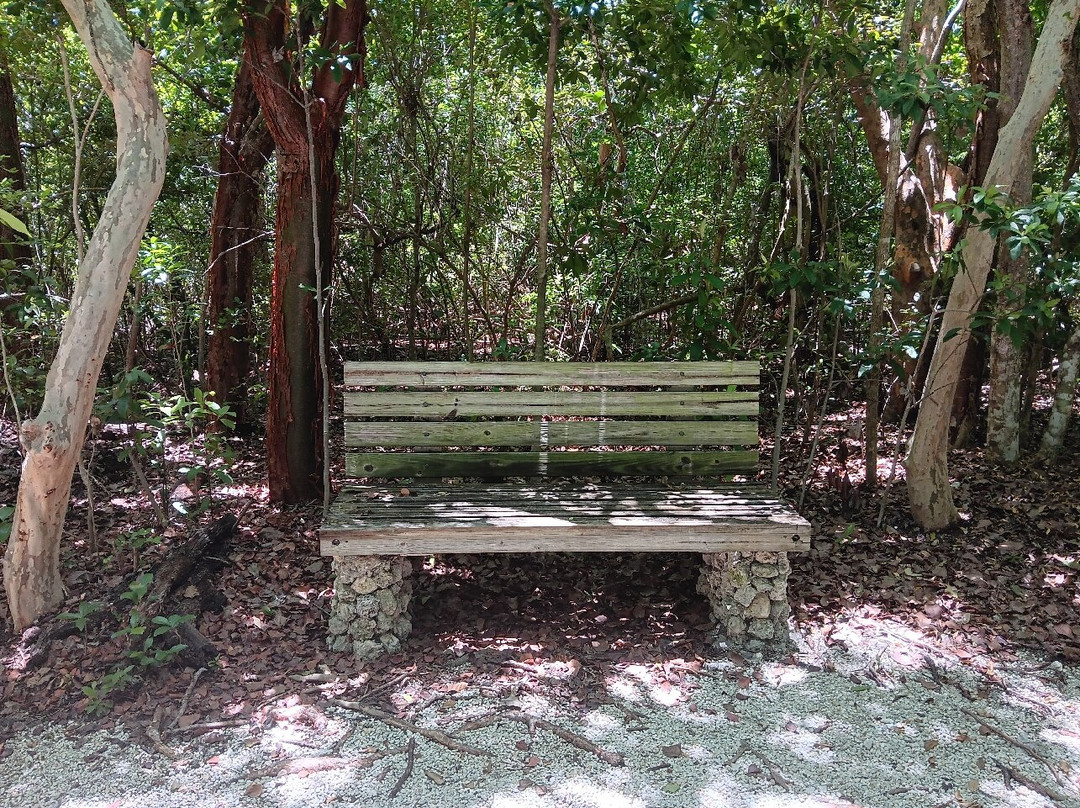 Windley Key Fossil Reef Geological State Park-伊斯拉摩拉达必去景点