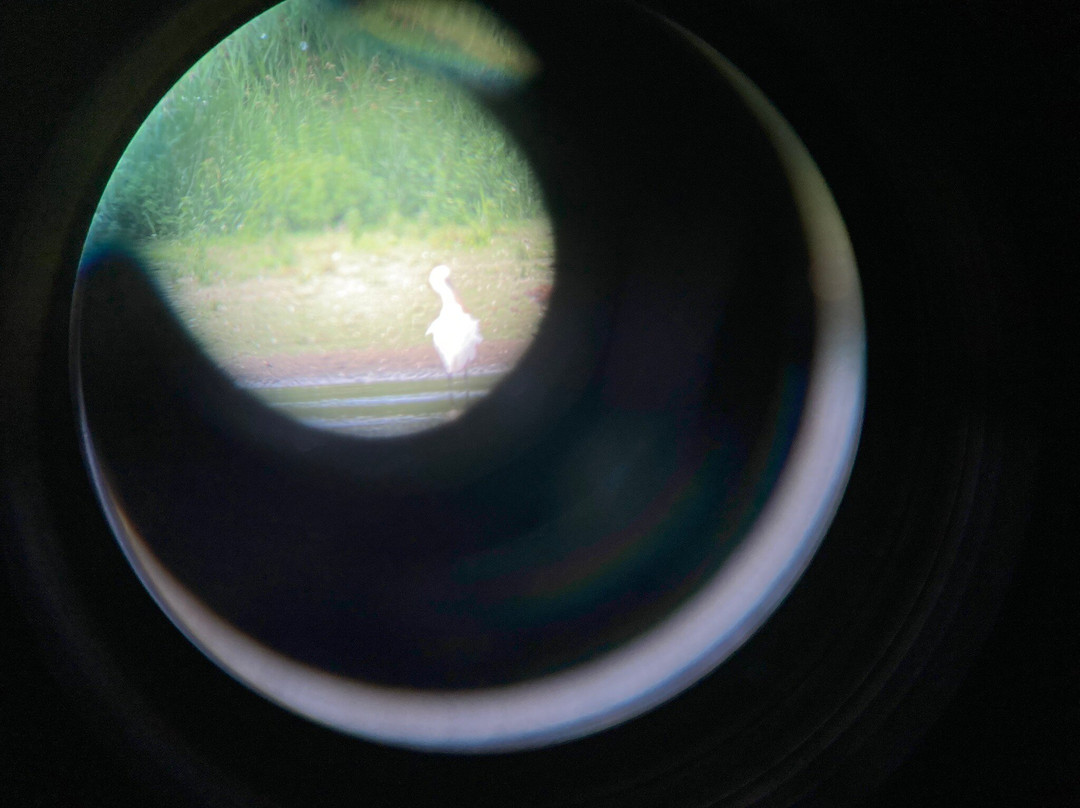 Welney Wetland Centre-Welney必去景点