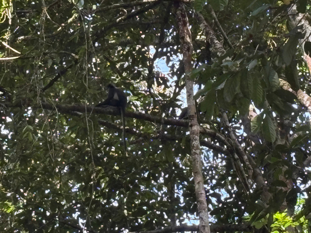 Friendship Guesthouse & Restaurant主图