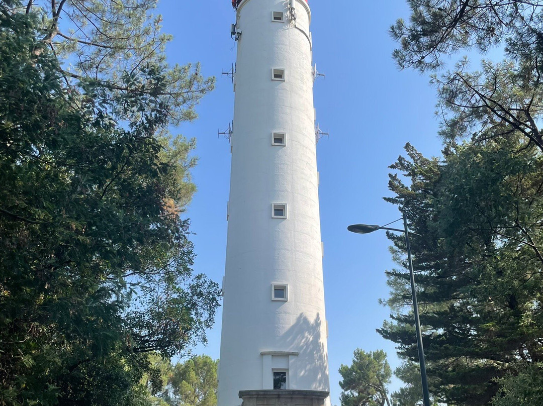 Le Phare du Cap Ferret-Cap-Ferret必去景点