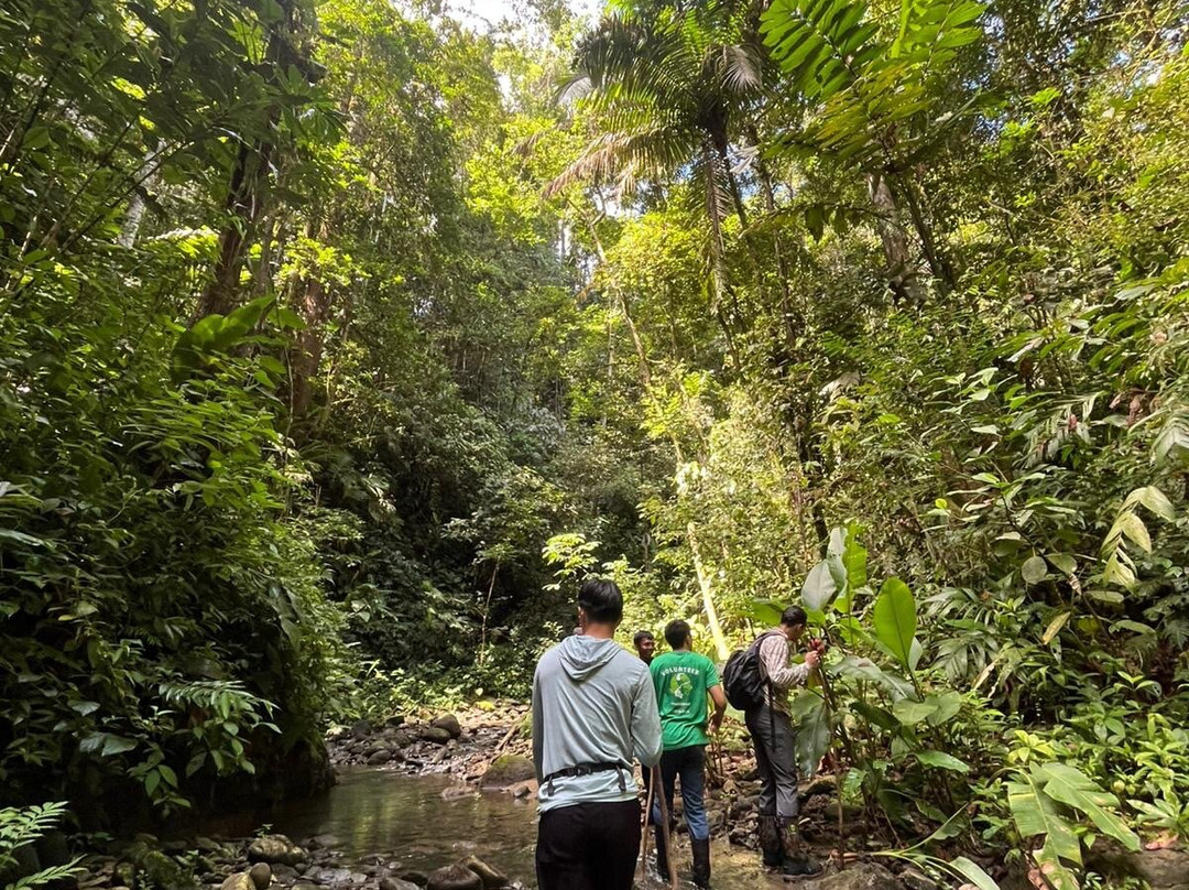 Costa Rica Transport Service-圣何塞必去景点