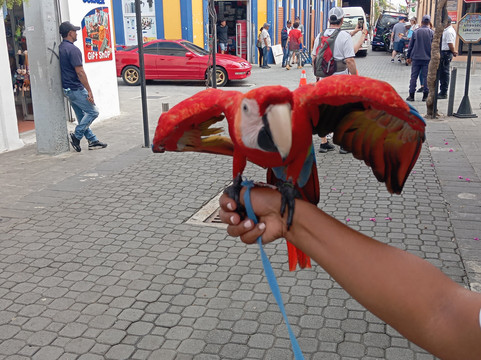 puerto plata City  tour ,Garcia jesus transfer tour