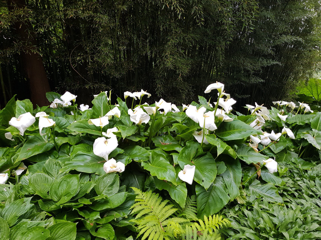 National Trust Trelissick House And Gardens-Feock必去景点
