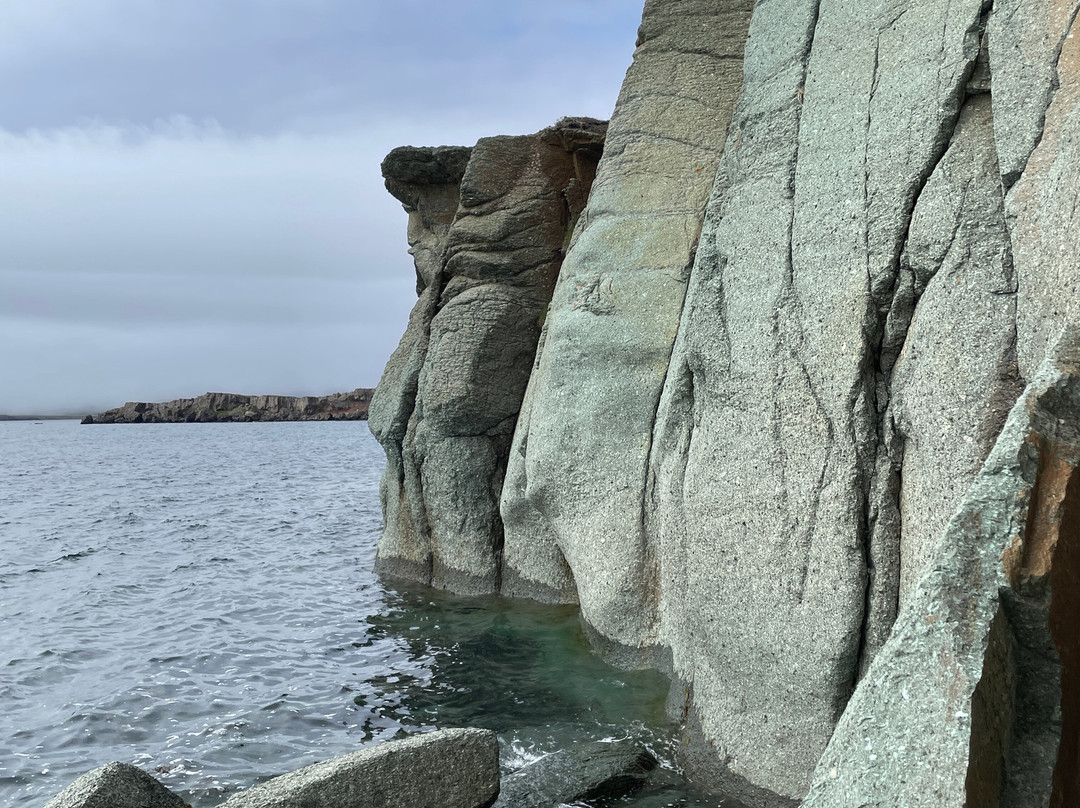 Blábjörg Cliffs-Djupivogur必去景点