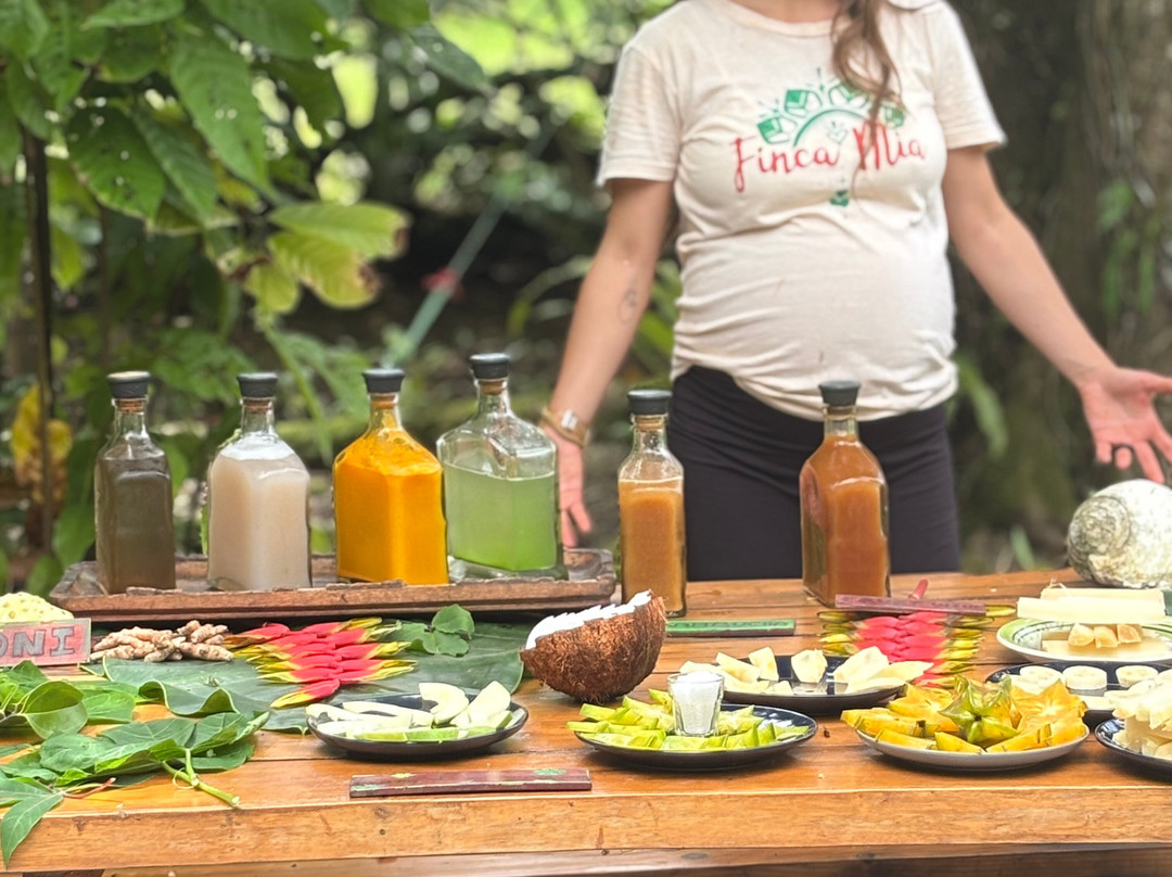 Shooting Star Studio-帕沃尼斯必去景点