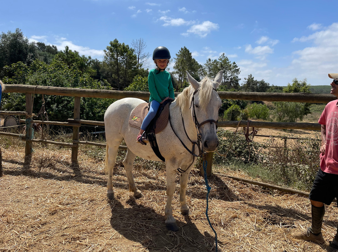Horses in the Sun-Aljezur必去景点