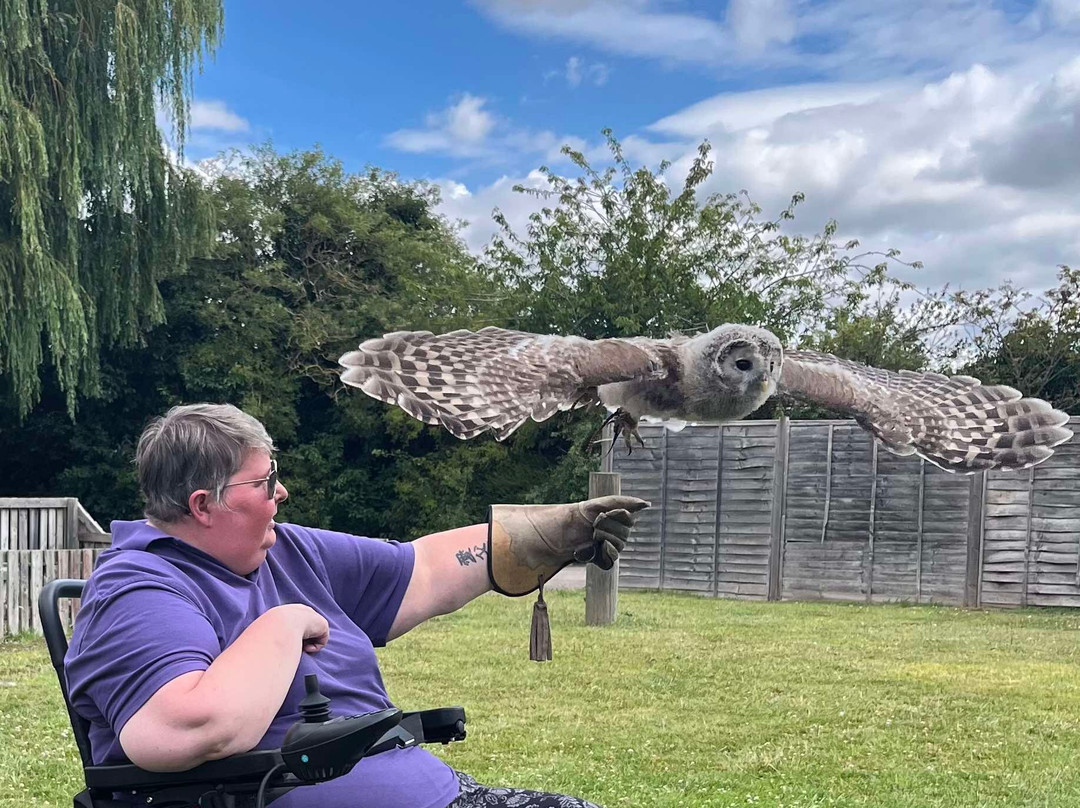 Baytree Owl and Raptor Centre-Spalding必去景点