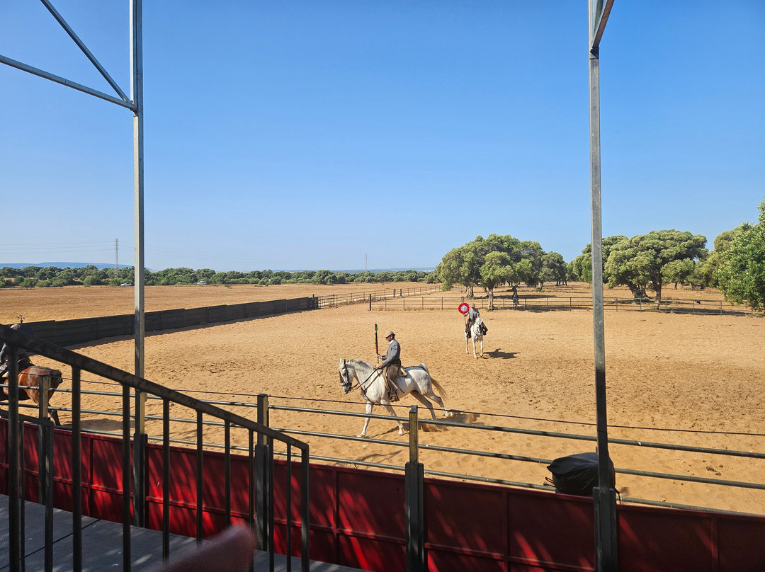 A Campo Abierto-Medina-Sidonia必去景点