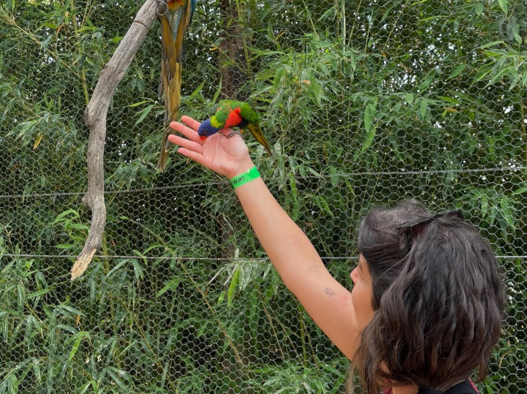 Zoo Safari Fauna Aventura-Hinojosa de San Vicente必去景点