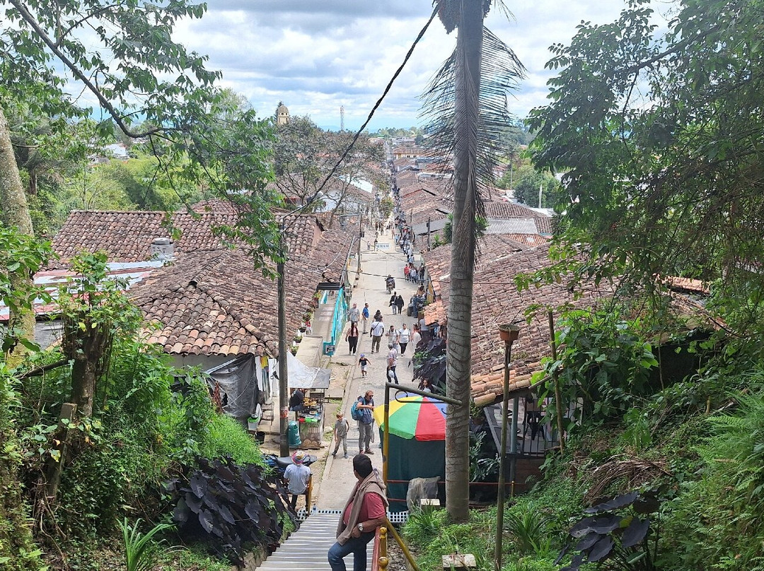 Ecoparque the Mirador Alto De La Cruz-萨伦托必去景点