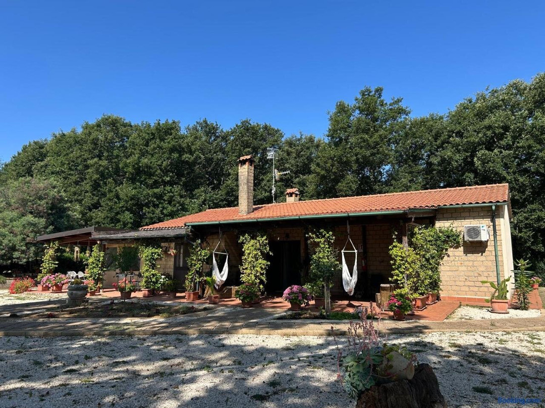 Sovana酒店住宿-Agriturismo Antiglia