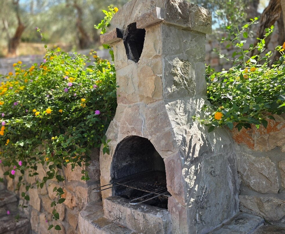 OLIVE QUEEN DOO-Stari Bar必去景点