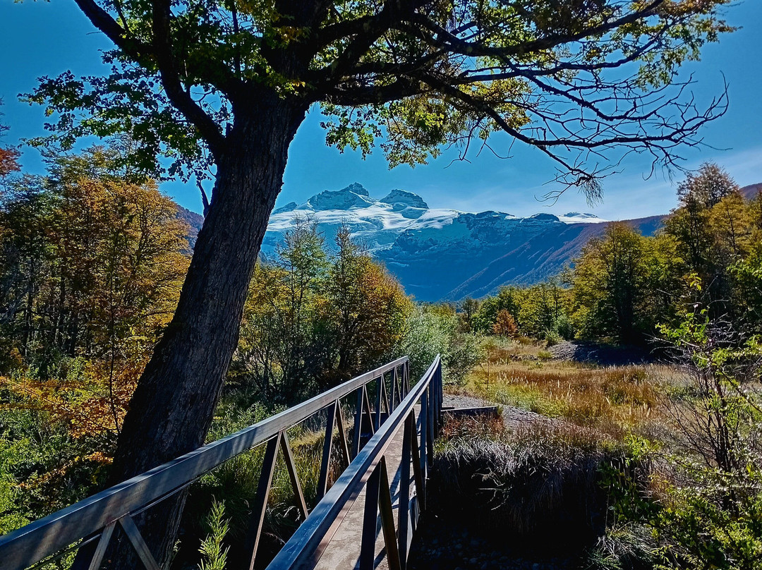 Cerro Tronador-圣卡洛斯-德巴里洛切必去景点