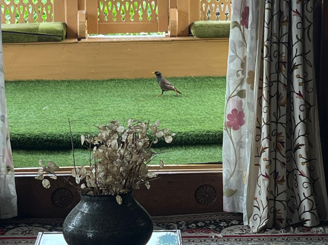 Dilshad Houseboats主图