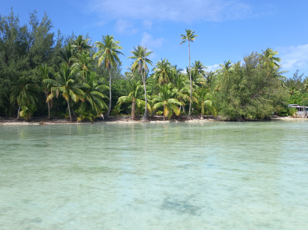 Bora Bora Onoku Services-瓦伊塔佩必去景点