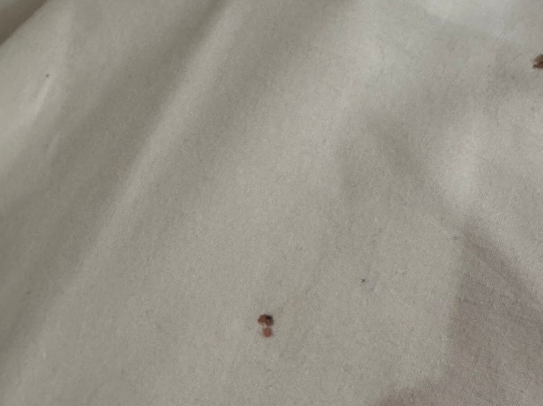 Hotel Alcazar Irun Centro Ciudad主图