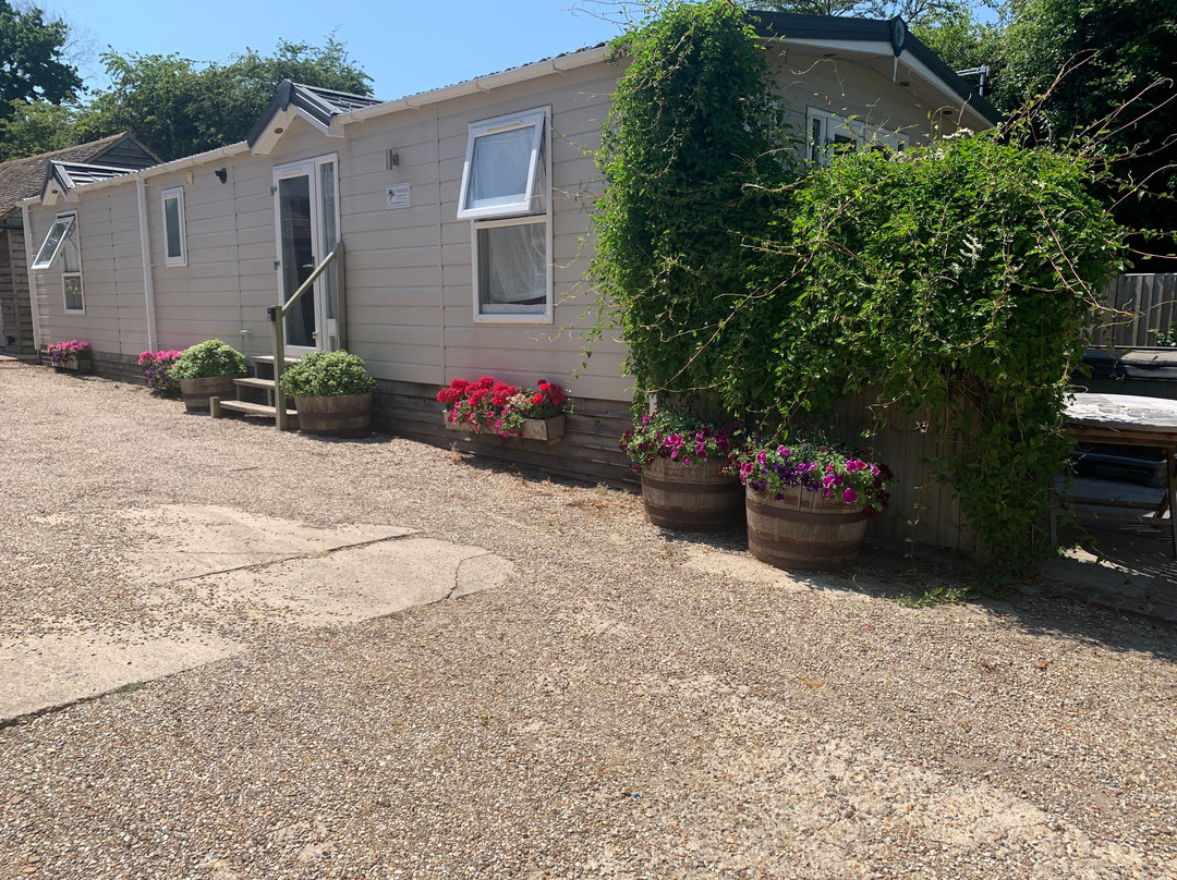 Molland Manor House B&B主图