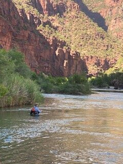 Adrift Dinosaur-Jensen必去景点