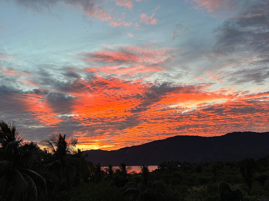 Pannzian Beach主图