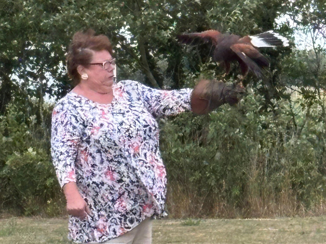 Fens Falconry-Wisbech必去景点