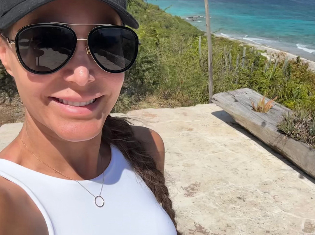 The Aerial, BVI主图