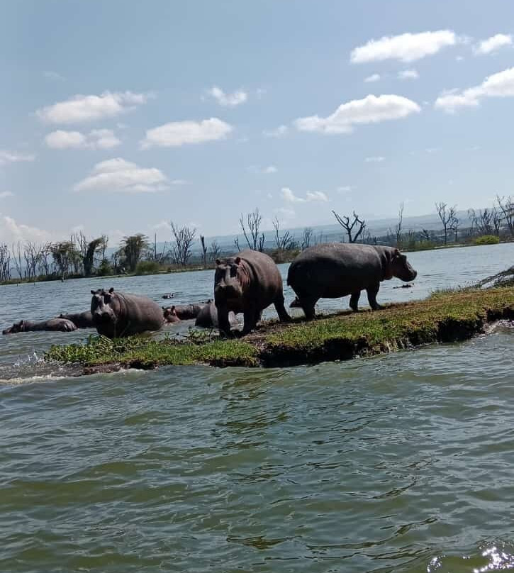 Benjamin Safaris-Kilifi必去景点