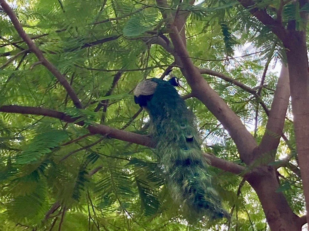 Active India Holidays-新德里必去景点