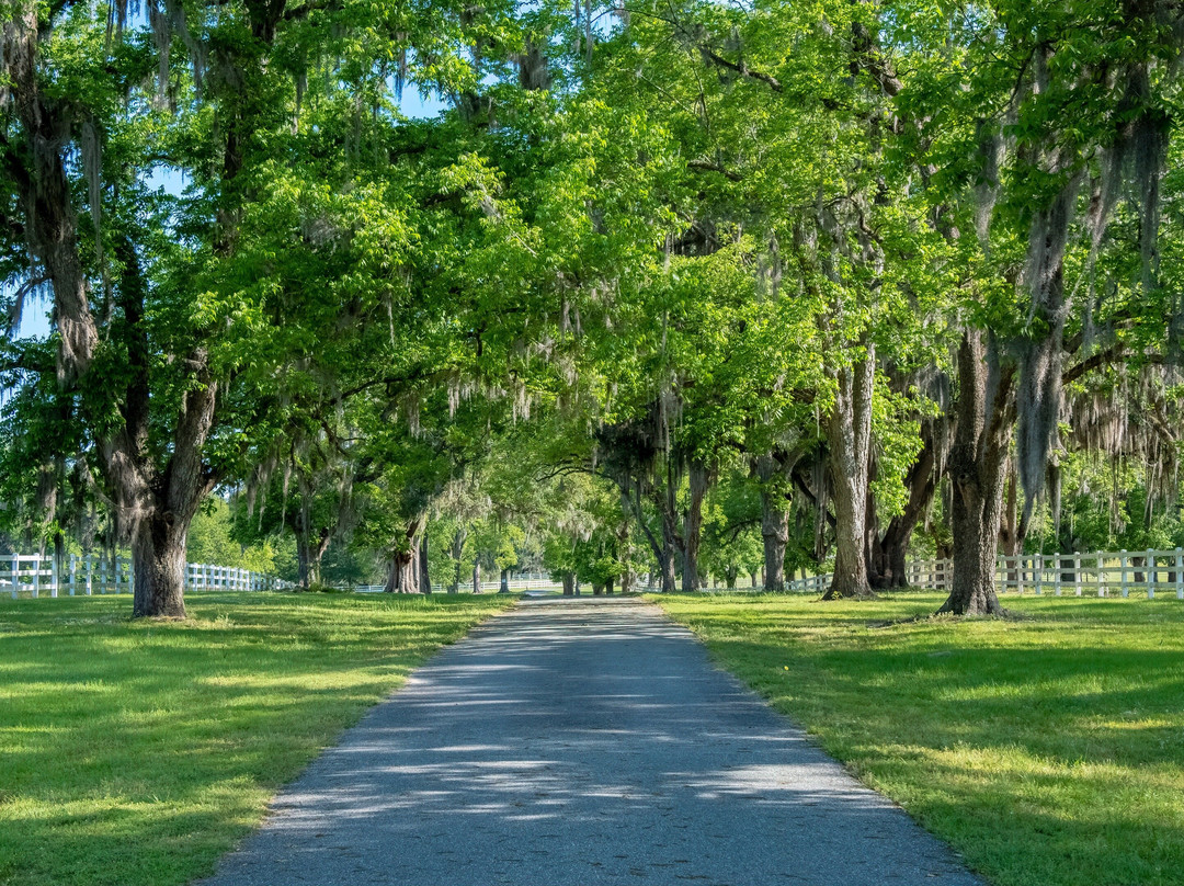 VoiceMap Monticello, Florida