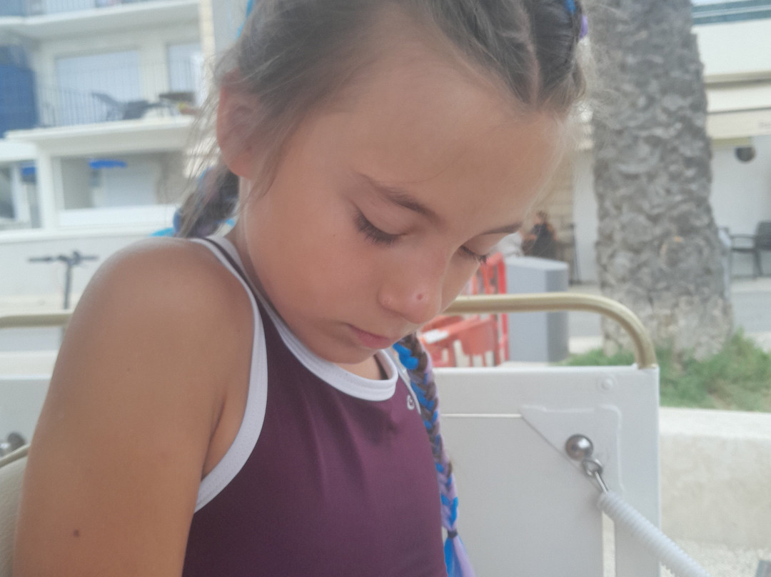 Le Petit Train Du Grau Du Roi-勒格罗迪鲁瓦必去景点