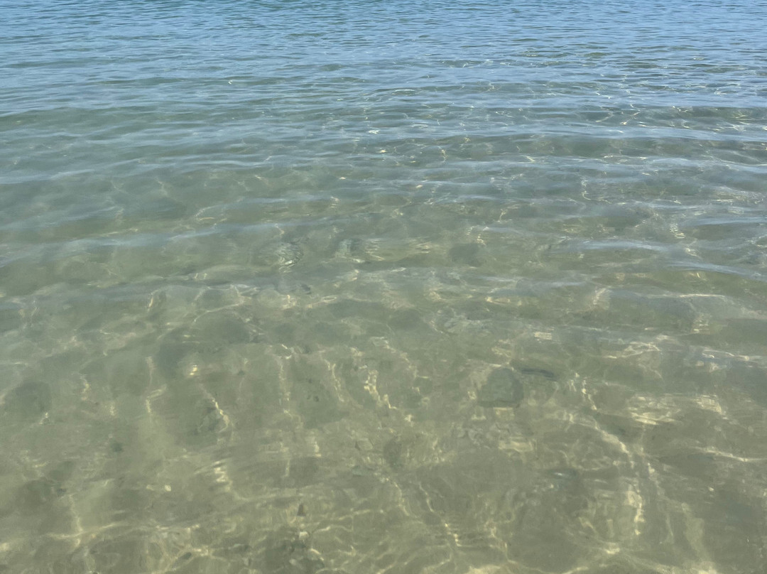 Papeete Salentino-Torre Pali必去景点