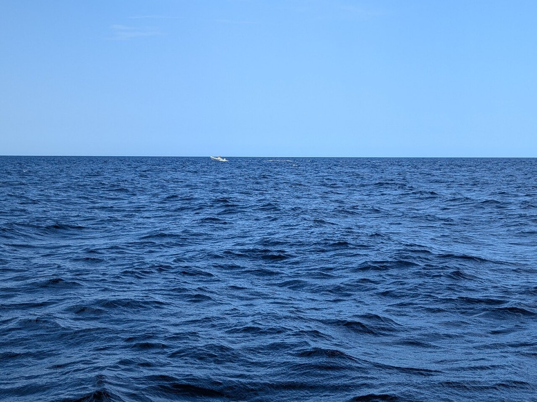 Pescaturismo Su Lo-La Caletta必去景点