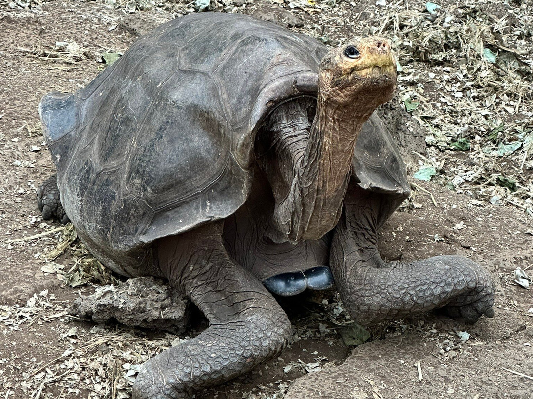 Galapagos Path-阿约拉港必去景点